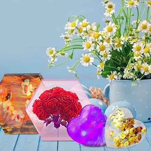 AIFUDA - Lot de 2 grands moules en résine - Moules hexagonaux en silicone en forme de cœur pour serre-livres - Moules en silicone pour spécimens de résine époxy, fleurs préservées, mariage - Nail Gallerys