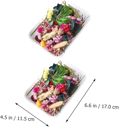 HOLIDYOYO 6 Boîtes Fleurs séchées Sec Fleurs Roses embellissements pour l'artisanat en Plein air décoration Fleur séchée à la Main tiges séchées Fleurs Artisanales Fleurs pressées - Nail Gallerys