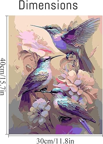 Peinture par numéros pour adultes, colibri peinture par numéros pour adultes débutants, toile pour décoration murale d'intérieur 30,5 x 40,6 cm - Nail Gallerys