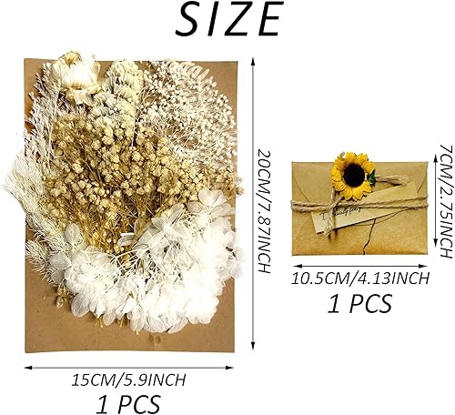 MEMOFYND 1 pièce de fleurs séchées artificielles avec 1 carte de vœux, bouquet de fleurs mélangées, décoration florale conservée pour bricolage, scrapbooking, coques de téléphone portable, artisanat - Nail Gallerys