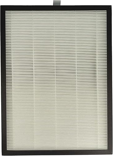 vhbw Filtre à air compatible avec Rowenta Pure Air Nanocaptur PU3040 purificateur d'air - Filtre combiné charbon actif + allergy+ - Nail Gallerys