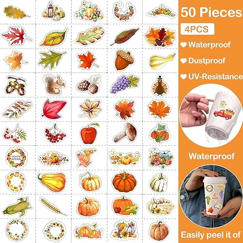 Elfinfi 200 Pièces Gommettes Feuilles d'automne, Gommettes Autocollantes Livré avec Feuilles d'automne Animal Citrouille, Gommette Feuille Automne Approprié Décoration de Thanksgiving - Nail Gallerys