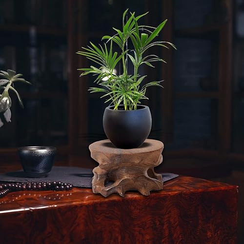 Colcolo Base d'affichage en Pierre en Bois Petite Base de Vase sur piédestal Bonsai Support de Statue de Bouddha Base décorative Base en Bois Circulaire - Nail Gallerys