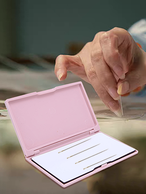 Magnetische Nadelbox