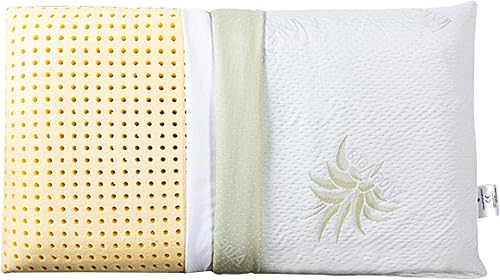 EVERGREENWEB - Oreiller de lit 40x70 Haut 12 cm, Oreiller en Mémoire de Forme de Haute Qualité, Hypoallergénique,Double Housse Amovible Aloe Vera et Coton, Oreiller Relaxant pour Douleurs Cervicales - Nail Gallerys