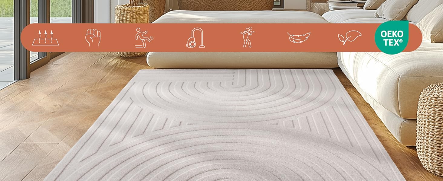 Tapis moderne, tapis de salon, tapis moelleux, lavable, décoration, tapis d'intérieur