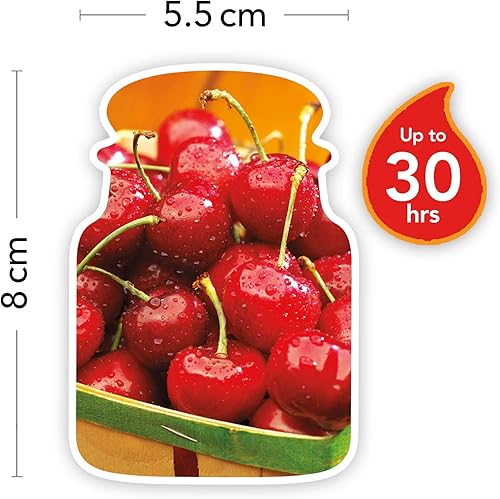 Yankee Candle bougie parfumée | jarre grande | Pommes Grillées | jusqu'à 150 heures de combustion - Nail Gallerys