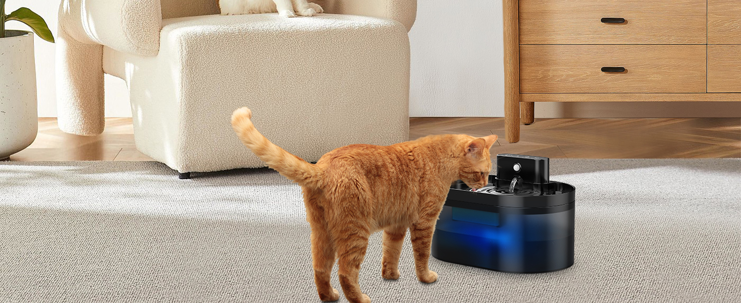 Fontaine à eau sans fil pour chat