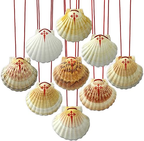 J[B] Coquille Saint-Jacques 11 x 10 cm - Nail Gallerys