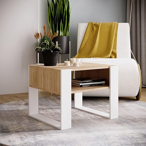 AKKE Karo 65 Table Basse avec Rangement Meubles de Salon Table D'appoint Scandinave Moderne Fabriqué en UE Chêne Noir - Nail Gallerys