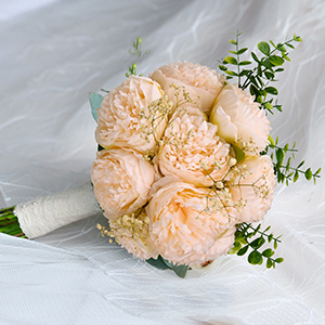 Pivoine artificielle