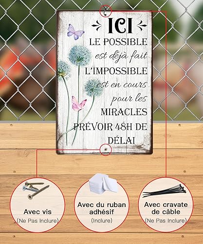 Putuo Decor Plaque Métallique Miracles en 48H, Panneau Déco Inspirant en Aluminium, Idéal pour Bureau et Maison, 30x20 cm - Nail Gallerys