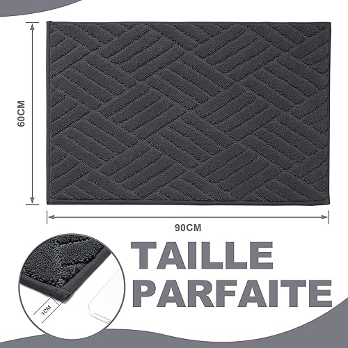 FEOMOS Paillasson Intérieur Entrée Attrape-Poussière,Tapis de Sol Antidérapant Absorbante,Tapis d'Entrée Lavable en Machine pour Chien,Porte,Entrée,Chambre, Couloir,Cuisine,Gris Charbon, 60cm x 90cm - Nail Gallerys