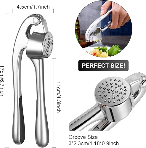 CTENG Presse à ail - Passe au lave-vaisselle - Argenté - Nail Gallerys