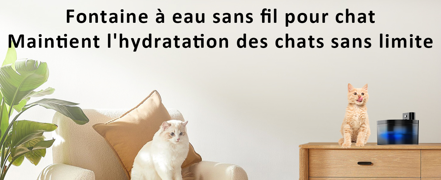Fontaine à eau sans fil pour chat