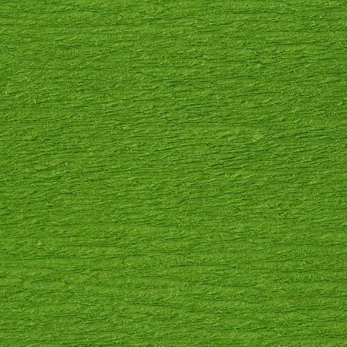 CLAIREFONTAINE Paquet 10F Crépon M75 2.5x0.5m vert pré - Nail Gallerys