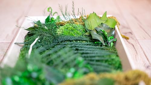 Générique tableau végétal stabilisé ''RIO BOIS'' sans entretien - tableau de plantes et décoration murale d'intérieur, plantes et fleurs éternels made in France - Nail Gallerys