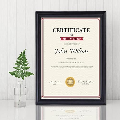 PETAFLOP Lot de 4 cadres photo noirs de 21,6 x 27,9 cm pour certificat, montage mural et table - Nail Gallerys