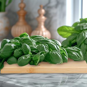 Couteau à herbes aromatiques