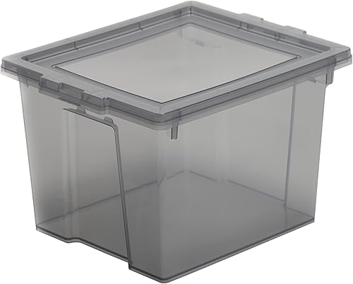 Iris Ohyama, Boite rangement plastique, Boite de rangement bureau de 10L, Lot de 4, Sans BPA,DDUSB-S, Gris- L29 x P24 x H18.5 cm - Nail Gallerys