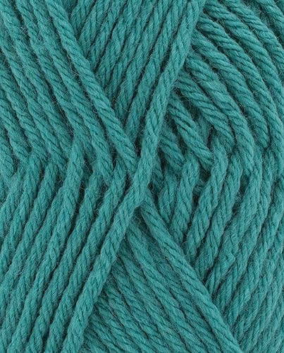 Phildar - Pelote de Laine Phil Partner 6 - Laine à Tricoter - 25% Laine peignée,25% Acrylique,50% Polyamide - Aiguille n°6 - Couleur Veronese - Nail Gallerys