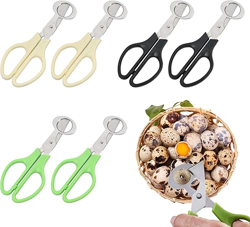 Wisebom Lot de 6 ciseaux à œufs de caille en acier inoxydable - Ciseaux à œufs de caille - Petits ciseaux à œufs de caille - Pour la maison, la cuisine, le restaurant - Nail Gallerys