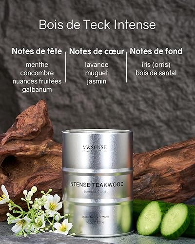 M&SENSE Bougie parfumées Tabac Vanille | 320g, Arôme chaud et boisé 70h, Bougies naturelles pour salon masculin, Cadeau papa chic pour Noël ou soirées cosy - Nail Gallerys