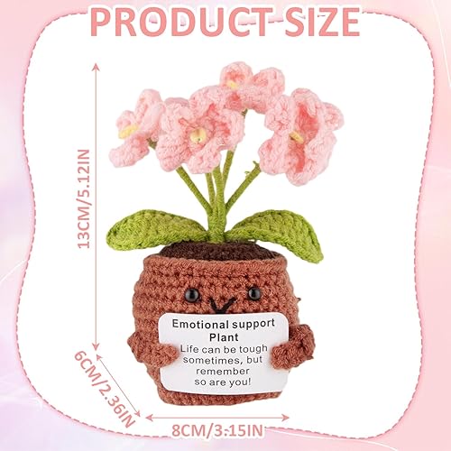 Lot de 2 pots de fleurs en crochet avec carte d'encouragement, support émotionnel Forget Me Not - Cadeau pour la maison, le bureau, la voiture - Nail Gallerys