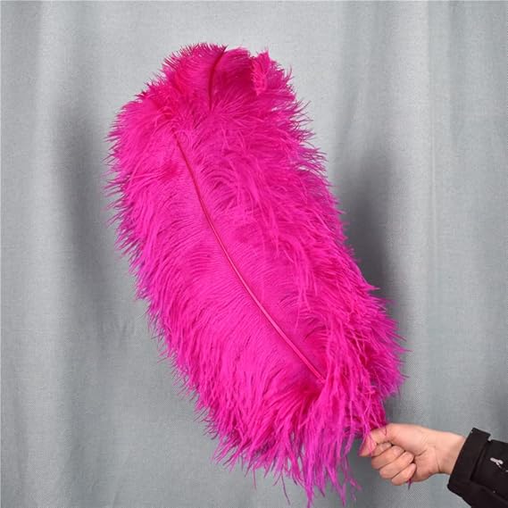 Plumes d'autruche rose rouge pour décoration Plumes Decor 15-55 cm de long plumes d'autruche centres de table accessoires de fête mariage - Nail Gallerys