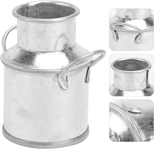 Happyyami Accessoires 10 pièces Pot à lait Seau en tôle Seau à fleurs français Seau à fleurs miniature en métal Mini pot à lait Seau Mini Rustique Galvanisé Vase Peut Vase Fer Plante - Nail Gallerys