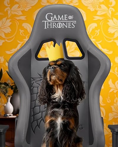 Subsonic – Chaise gaming ou chaise de bureau Game of Thrones, fauteuil gamer, dossier ergonomique - Noir - Nail Gallerys
