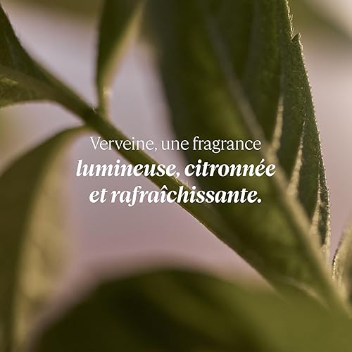 L'OCCITANE - Bougie Cocon de Sérénité - 180 g - Fabriqué en France - Nail Gallerys