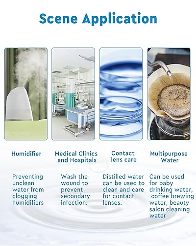 FoundGo Distillateur d'eau 750W Distillateur d'eau en acier inoxydable Distillateur d'eau pure avec pot en verre 1L/H, CE - Nail Gallerys