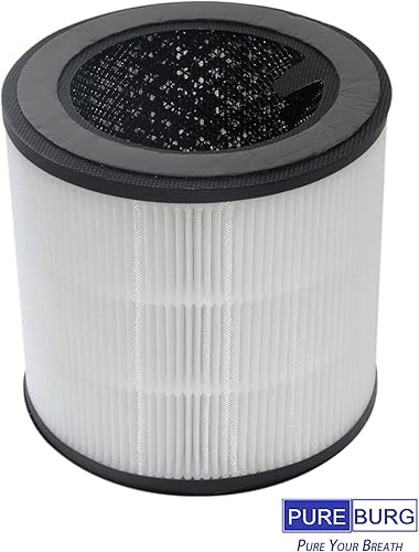 PUREBURG Lot de 2 filtres de rechange FY0293/30 compatibles avec purificateur d'air Philips série 800 AC0830/30, également compatible avec AC0830 AC0820 AC0819 FY0194 - Nail Gallerys