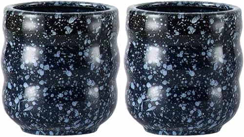 CAGFINY Lot de 2 tasses à thé traditionnelles japonaises en céramique pour restaurant, bar à sushis, salon de thé Izakaya - Nail Gallerys
