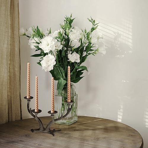 Relaxdays Chandelier en Bois de cerf, candélabre chandelle Ø 4 cm, Porte-Bougie Vintage en Fonte, Quatre Bras, Blanc - Nail Gallerys