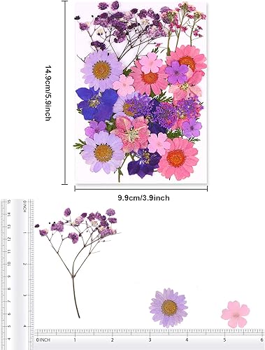 Fleurs Séchées Pressées Naturelles en Résine, Moules Créatifs Inclus pour Bijoux, Scrapbooking, Bougies, Savons, Décoration D'ongles, Idéal Loisirs DIY, Cadeaux Artistiques - Nail Gallerys