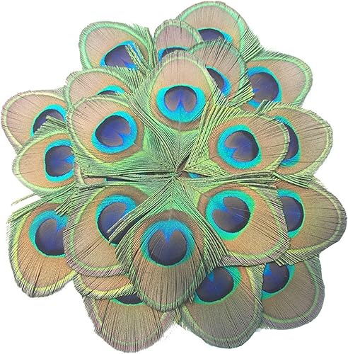 MWOOT 20 Pièces Plumes de Paon Naturelles, Plumes Decoratives pour Artisanat Bricolage, Plumes Vertes pour DIY Carnaval Fête Costume de Mascarade Accessoires de Cheveux Vintage Décoration - Nail Gallerys