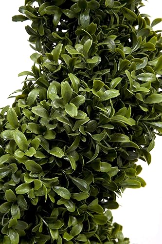 GreenBrokers Lot de 2 buis artificiels en Spirale - 96 cm - Nail Gallerys