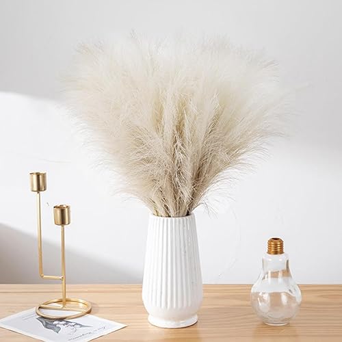 de la pampa naturelle - Fleurs séchées en forme de queue de lapin - Plumes pour vase de sol - de pampa artificielle - de pampa artificielle - de roseau pour remplissage de - Nail Gallerys