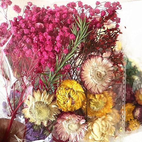Zeayebsr 1un paquet Fleurs Séchées, fleurs stabilisées,Fleurs Sechees Naturelles Vraies Fleurs Pressées Séchées Decoration pour Scrapbooking Bougie Bricolage Résine Époxy Floral Fabrication Artisanale - Nail Gallerys