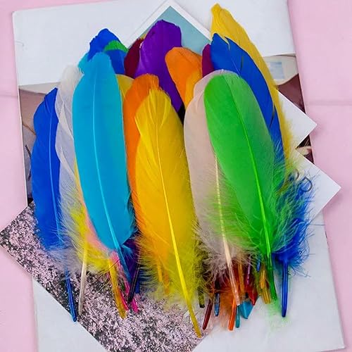Lot de 10 à 500 plumes d'oie naturelles colorées de 15 à 20 cm, pour décoration de fête, artisanat, bijoux fantaisie, accessoires de couture, rouge, 200 pièces - Nail Gallerys