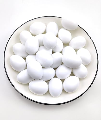 Lot de 10 œufs factices Faux œufs de Pigeons en Plastique Solide œufs factices pour Pigeons - Nail Gallerys
