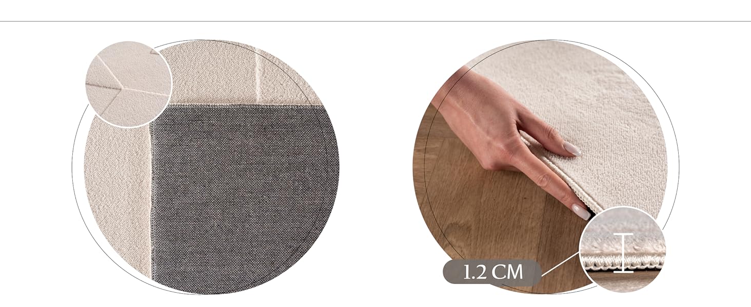 Tapis moderne, tapis de salon, tapis moelleux, lavable, décoration, tapis d'intérieur