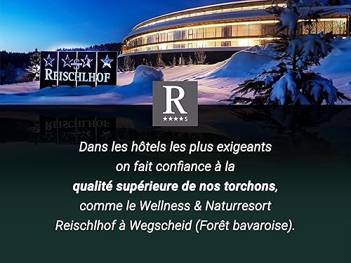 ZOLLNER Set de 5 torchons de Cuisine, Coton, 50x70 cm, Blanc Gris rayé - Nail Gallerys