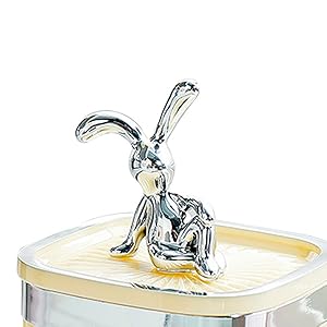 Porte Coton Tige en Plastique