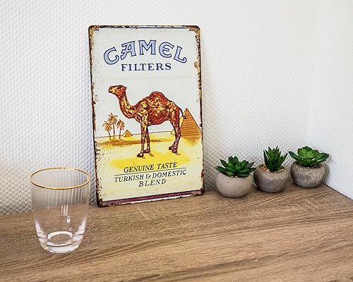 Plaque en tôle de 30 x 20 cm - Convient pour les amateurs de camel - Publicité rétro - Décoration de bar vintage - Nail Gallerys
