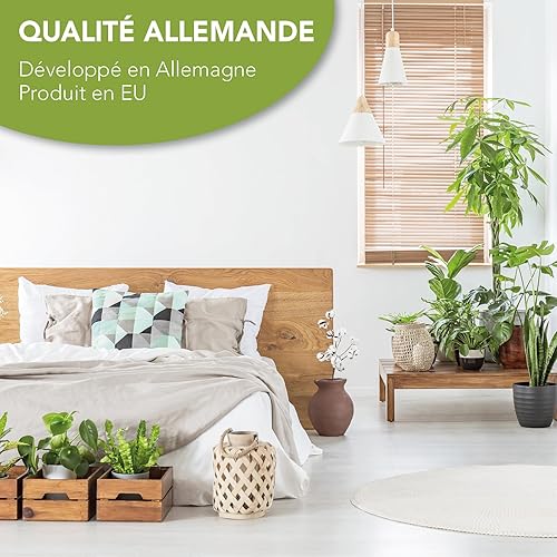 DREAMSTAR Ergo Flex Duo | Matelas orthopédique mousse froide 7 zones | 16 cm de haut | Certifié Oeko-Tex | Degré de dureté 2 et 3 | 90x200cm - Nail Gallerys