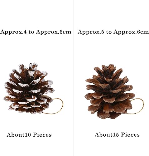 HOWAF 25 pièces Pommes de pin Naturelles, Pommes de pin de 5 à 6 cm pour l'artisanat, Pommes de pin avec Ficelle pour Cadeau fête Suspendue décoration d'arbre de Noël Guirlande décoration - Nail Gallerys
