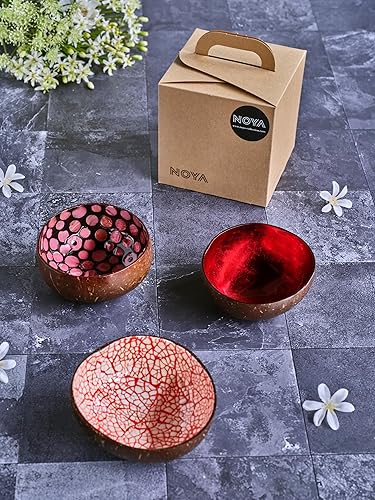 Noya Lot de 3 bols couleurs assortis en Noix de Coco, D14 Cm - Nail Gallerys